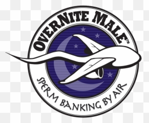 Overnite Male Kit - Asian Style Font Png,Semen Png