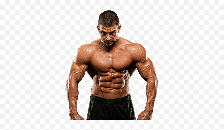 Bodybuilding Png Images Free Download - Gym Shoulder Day,Body Builder Png