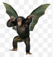 Download - Dancing Chimpanzee Png,Ape Png