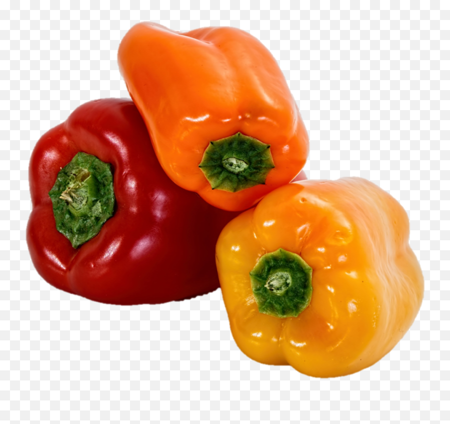 Products U2014 Cornerstone Produce Group - Can Bearded Dragons Eat Bell Peppers Png,Red Pepper Png
