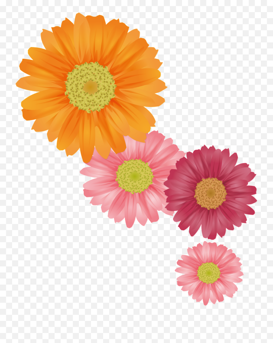 Fresh Orange Hand Painted Chrysanthemum - Summer Flower Png,Painted Flowers Png