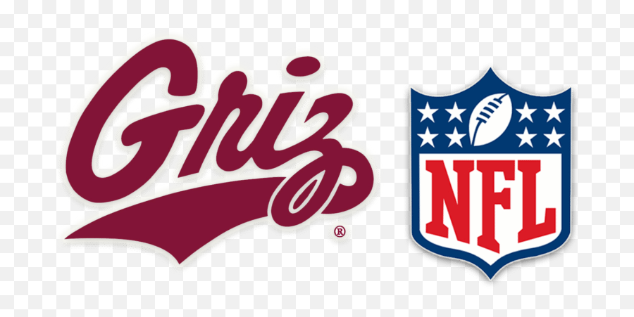 Two Former Montana Grizzlies Entrenched - Transparent Montana Griz Logo Png,Grizzlies Logo Png