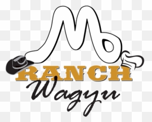 M6 Ranch - Language Png,M6 Logo