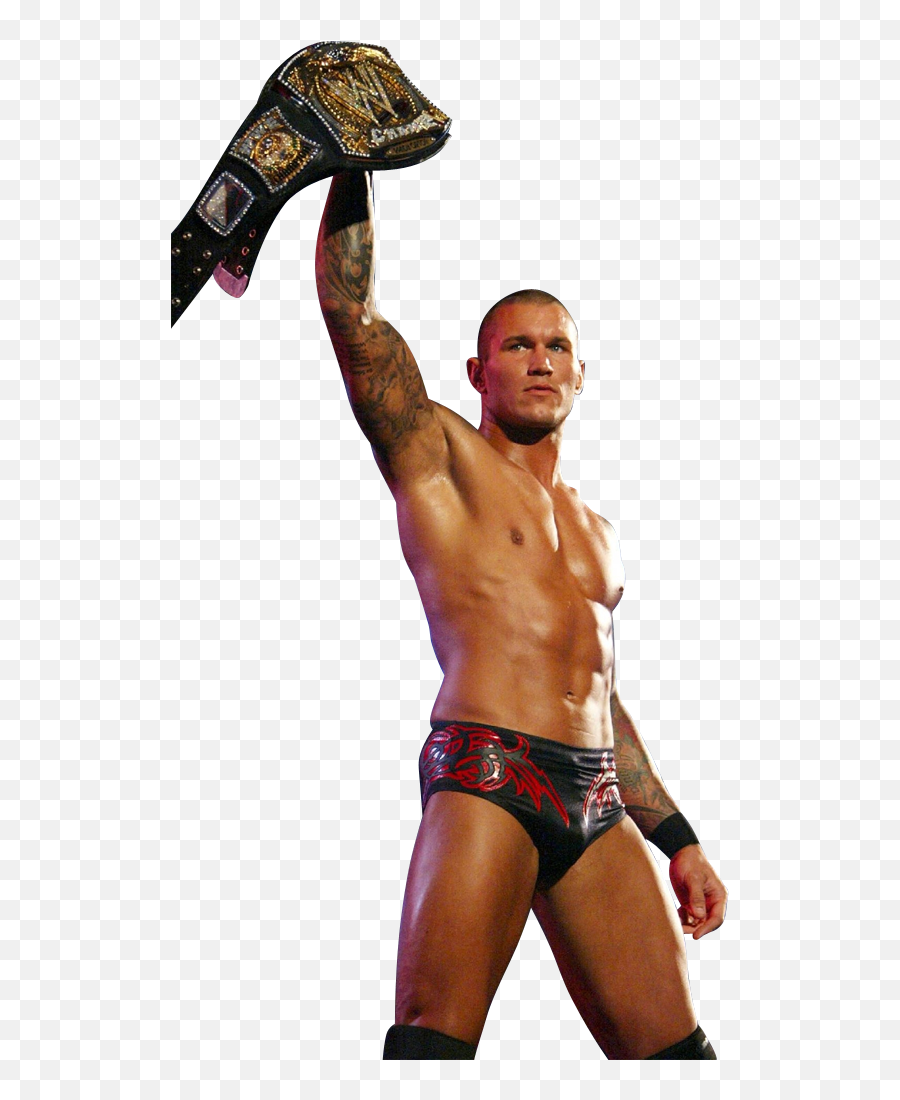 Randy Orton Rko Png 8 Image - Randy Orton Rko Png,Randy Orton Png