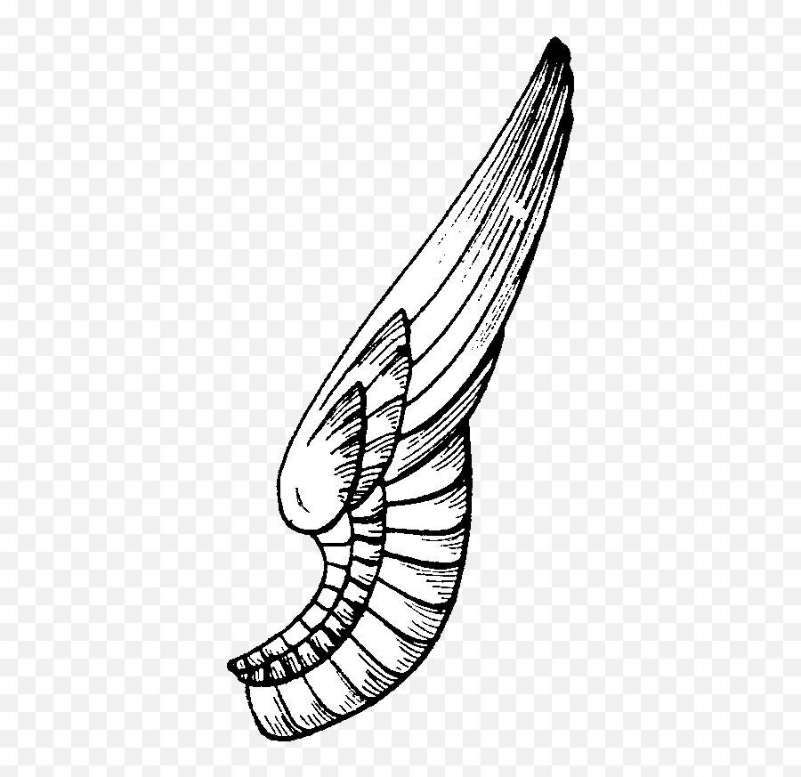 One Side Wings Png Image With No - One Side Wings Png,Bird Wings Png