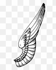 One Side Wings Png Image With No