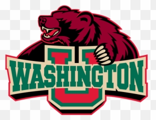 2020 Augustana College Vikings - Washington University In St Louis Mascot png