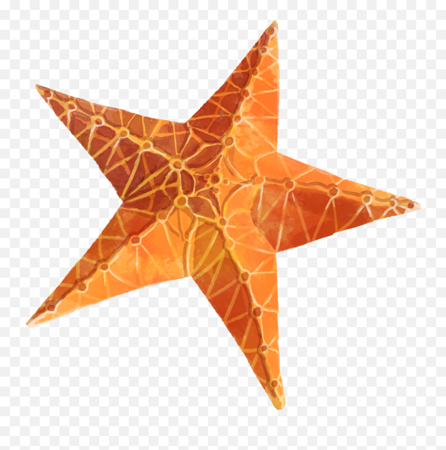 Starfish Png Clipart Free Download - Clip Art,Starfish Transparent
