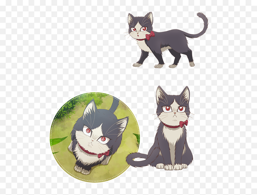 Haru From My Roommate Is A Cat - Haru My Roommate Is A Cat Png,Anime Cat Png