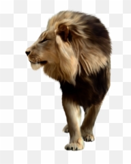 Png Image Download Picture Lions - For Picsart
