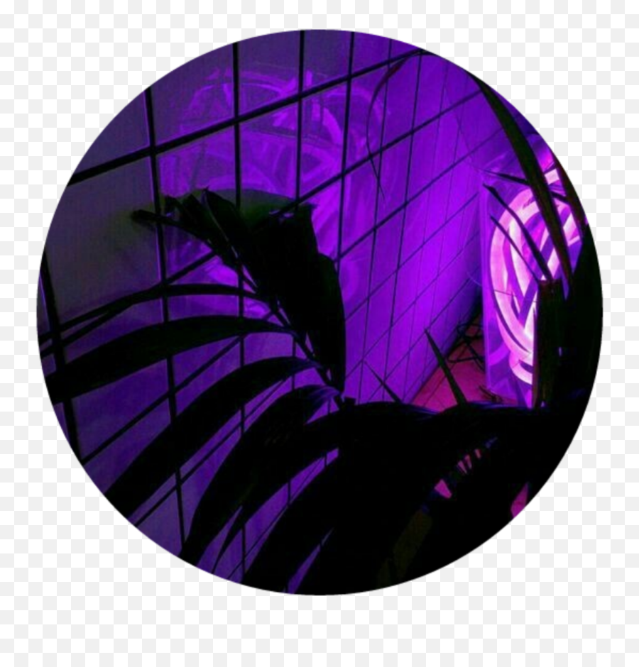 Circle Png Plant Purple Aesthetic Tumblr Light Lights - Shawn Mendes Aesthetic Lyrics,Light Circle Png