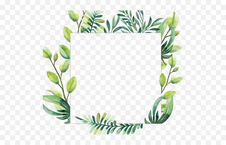 Home - Transparent Greenery Clipart Png,Greenery Png