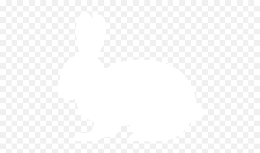 White Rabbit 2 Icon - Free White Animal Icons Transparent Imagen Of A Pink Rabbit Png,Rabbit Icon