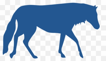 Equine Services U2014 Fundy Veterinarians - Animal Figure png