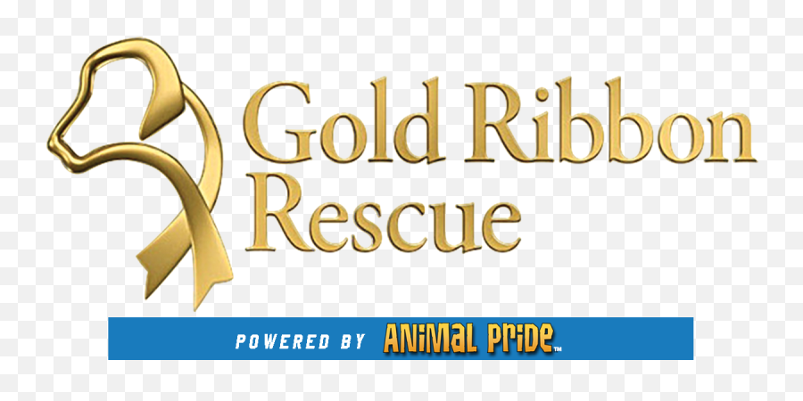 Gold Ribbon Rescue - Language Png,Rescue Icon