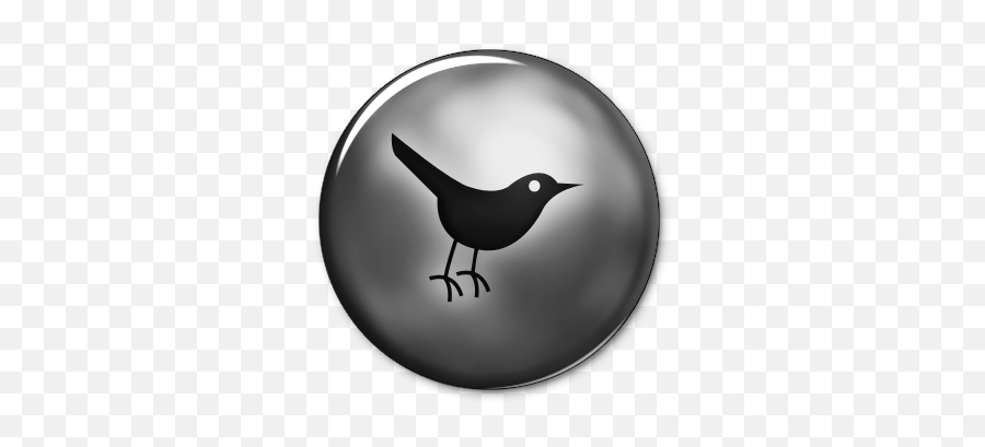 Twitter Logo Icon Png 321507 - Free Icons Library Silver Button,Gray Twitter Icon