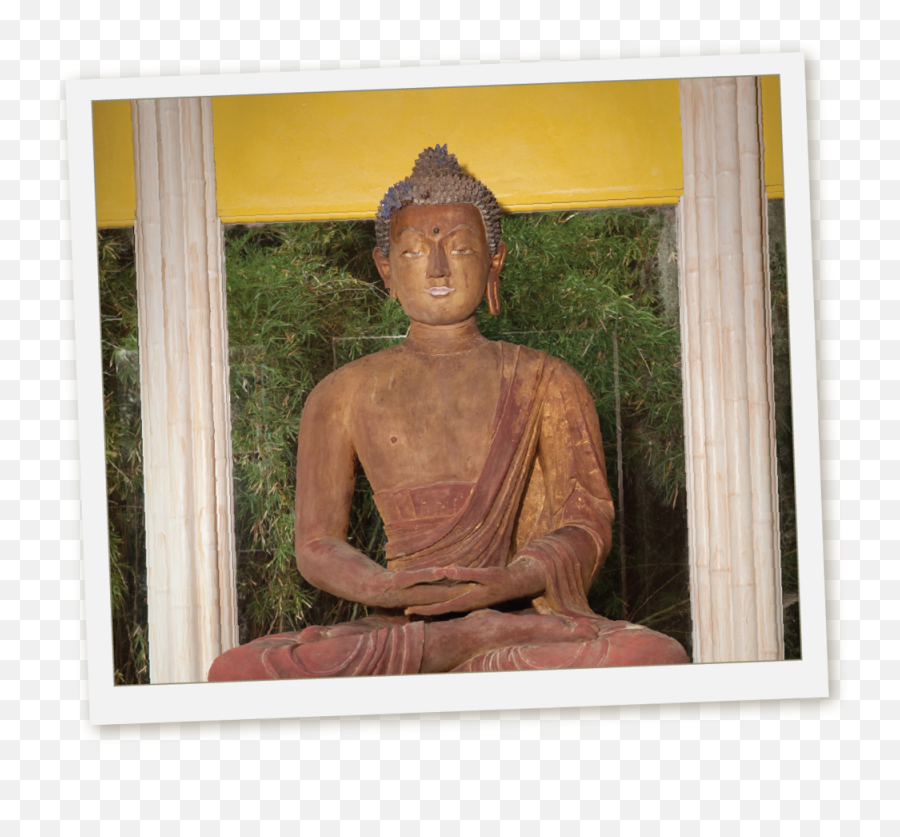 The Story Behind 900 - Yearold Buddha Statue At Avery Jungle Gardens Png,Buddha Transparent
