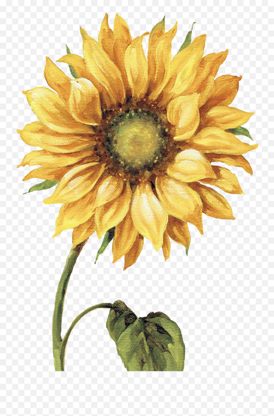 Hippie Clipart Unconditional Love - Sunflower Art Png,Watercolor Sunflower Png