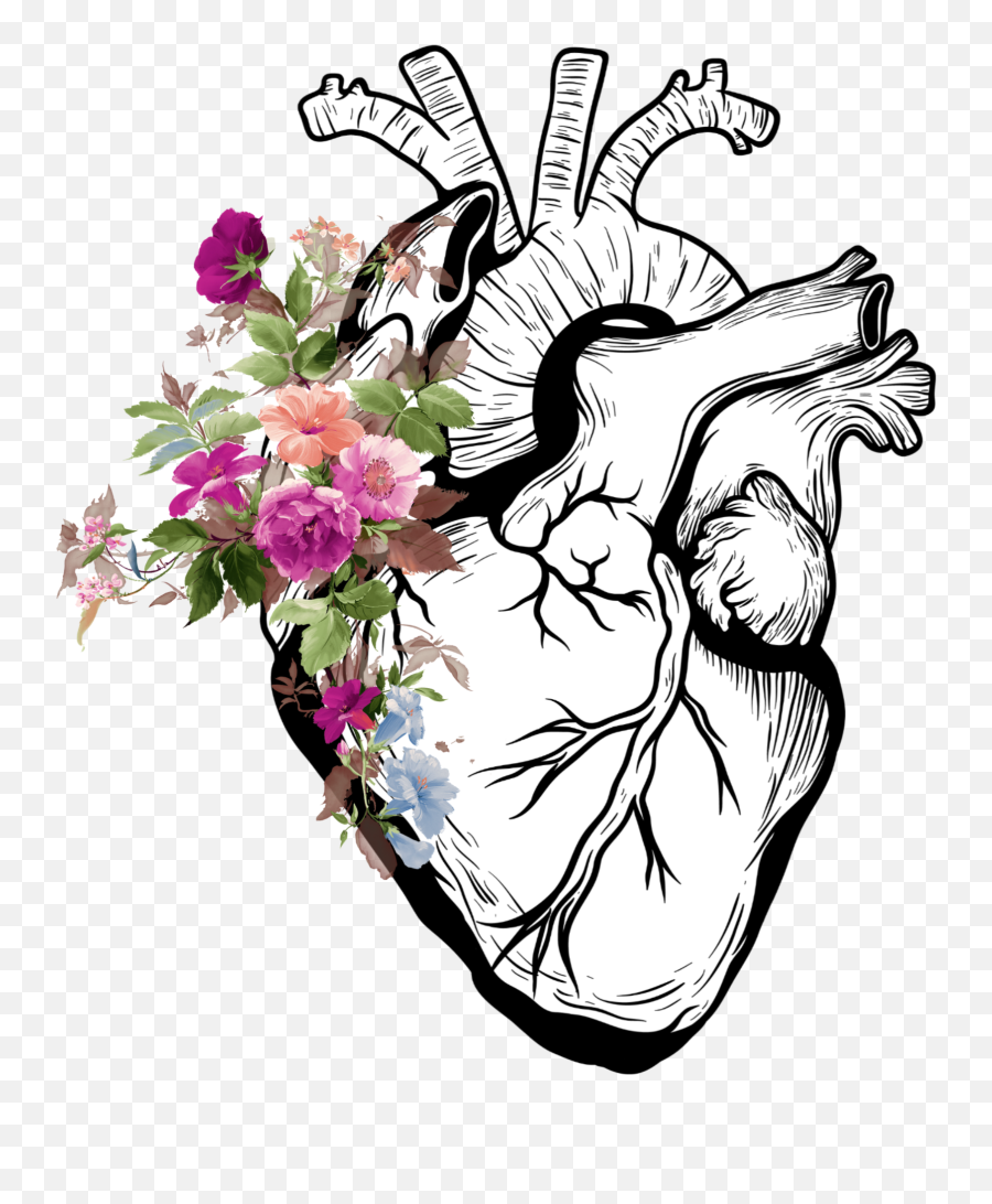 Heart Anatomy Tumblr Flower Flowers - Real Heart Drawing Png,Flowers Transparent Tumblr