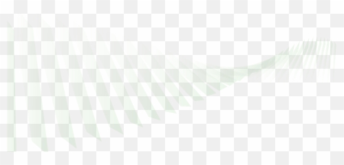 White Design Png 5 Image - Transparent