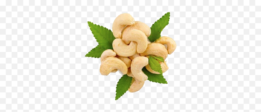 Cashew Png Hd - Cashew Png,Cashew Png