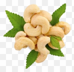 free transparent cashew png images page 1 pngaaa com free transparent cashew png images