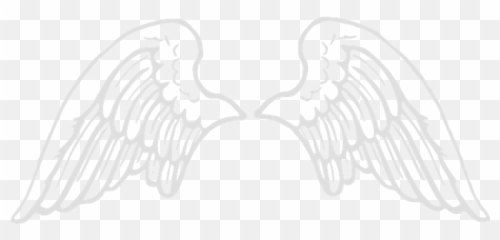 Free Transparent White Angel Wings Png Images Page 1 Pngaaa Com - roblox angel wings with halo roblox free usernames