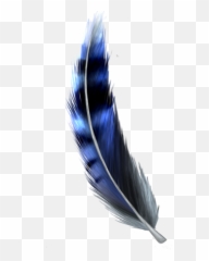 Download Hd Jay Feather Png - Blue Jay Feather Png Blue Jay Feather Png,Blue Jay Png