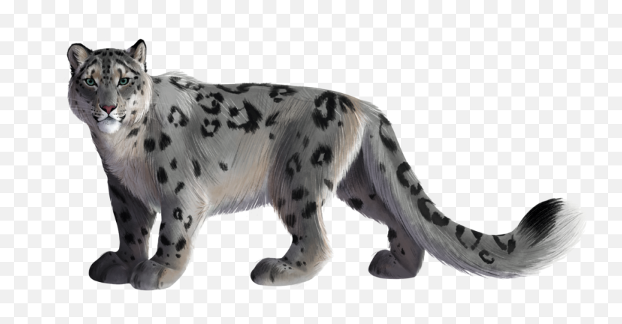 Download Original Art By Kacey Barton - Transparent Background Snow Leopard Png,Snow Leopard Png