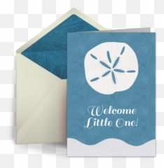 Baby Sand Dollar Png