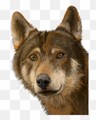 Cara Lobo Png - Cara De Lobos Png,Lobo Png