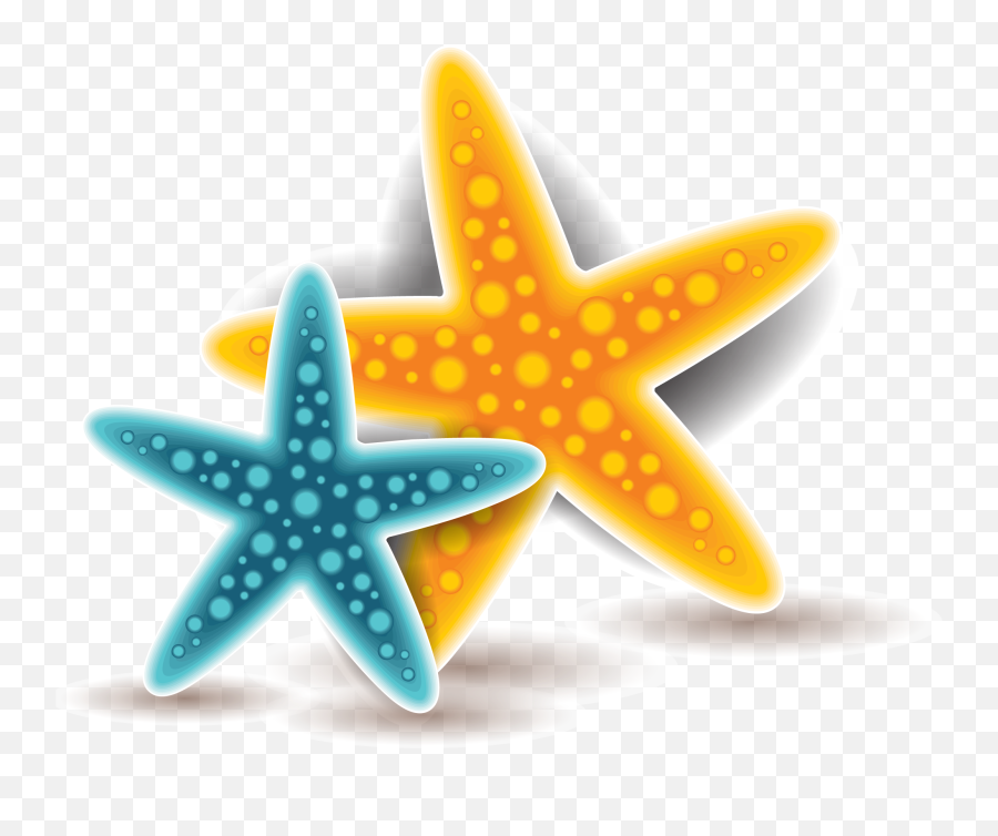 Starfish Euclidean Vector - Portable Network Graphics Png,Starfish Transparent Background
