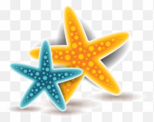 Starfish Euclidean Vector - Portable Network Graphics Png,Starfish Transparent Background