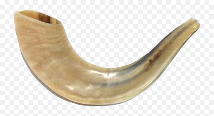 Shofar Png Picture - Rams Horn,Shofar Png