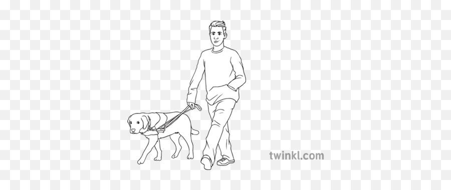 Boy Walking With Assistance Dog People Geography Secondary - Circuit With A Switch Cell Bulb Motor Png,People Walking Dog Png