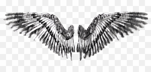 Download Hd Wing Wings Angel Devil - Golden Eagle png