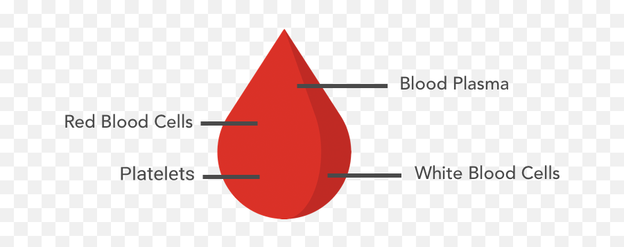 Plasmapheresis 101 U2014 Know Rare - Vertical Png,Blood Drop Transparent
