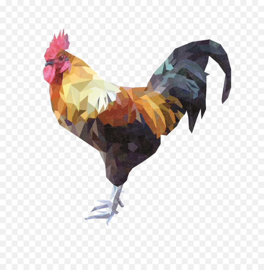 Cock Png Pic - Beautiful Art Of Anmils,Cockatiel Icon