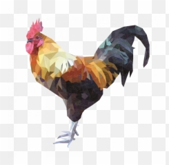 Cock Png Pic - Beautiful Art Of Anmils,Cockatiel Icon