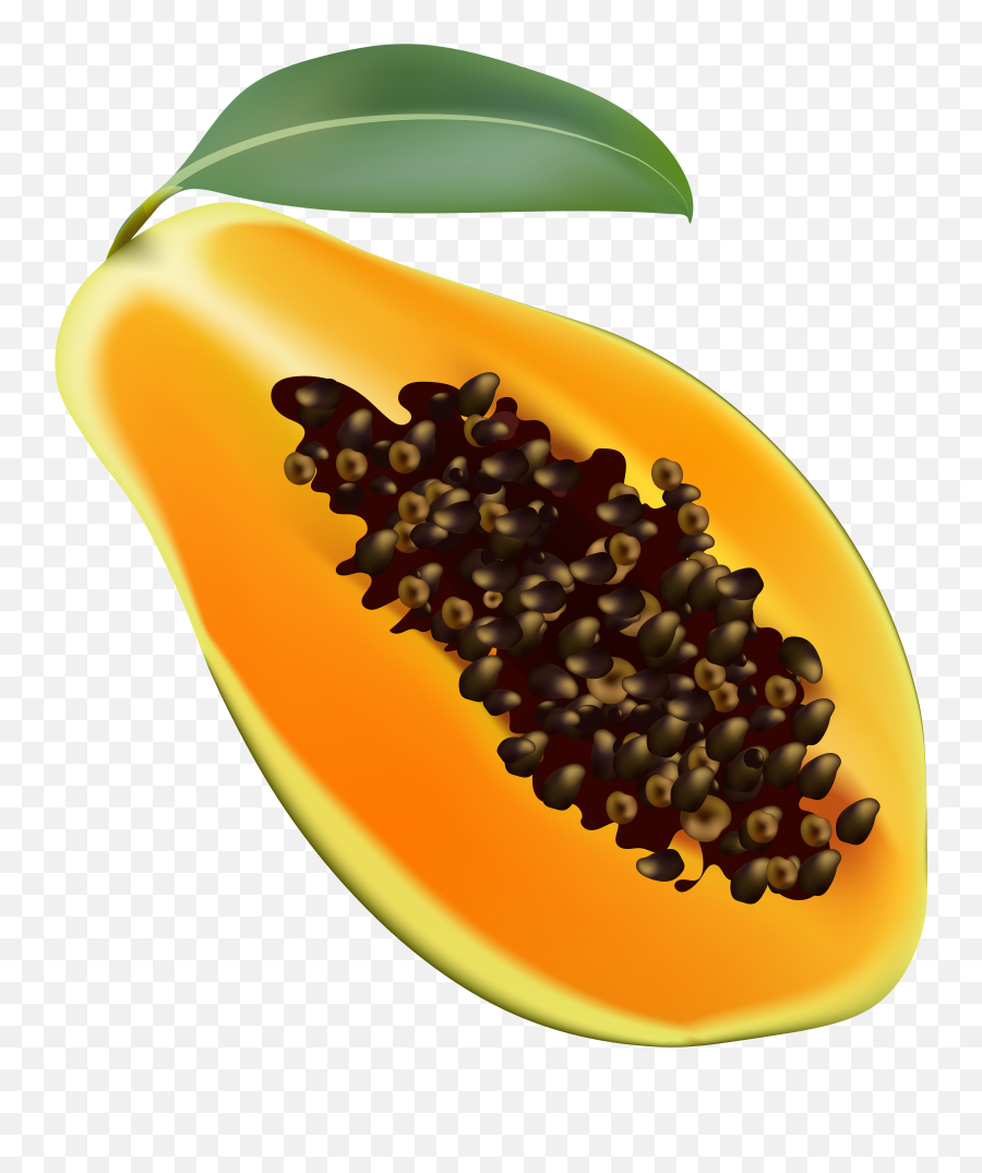 Transparent Background Papaya Clipart - Transparent Background Papaya Clipart Png,Papaya Icon