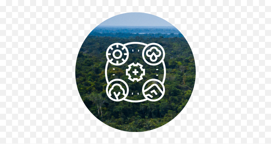 Biodiversity In Project Life Cycle Wsp - Dot Png,Biodiversity Icon