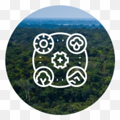Biodiversity In Project Life Cycle Wsp - Dot png