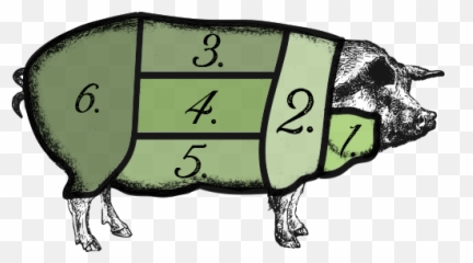 Copy Of Meat Cuts Ordering U2014 Virginia Farm Fresh Meats - Clip Art Png,Pork Png