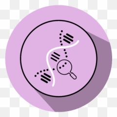 Privacy Policy - Xcode Life Dot png