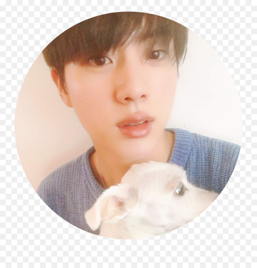 Jin Bts Tumblr - Jin And His Dog Png,Jin Png