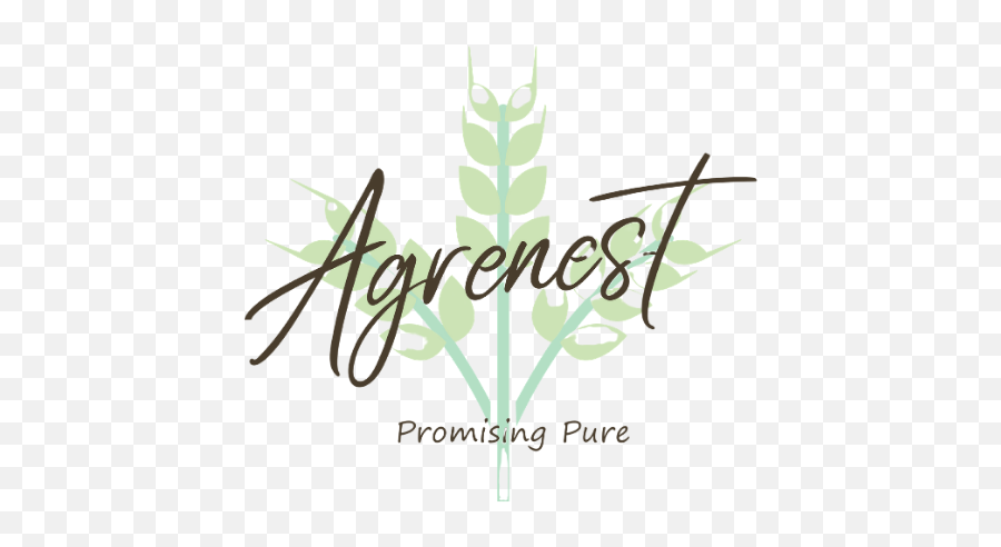 Agrenest - Promising Pure Apk 0042 Download Apk Latest Language Png,Pure Icon