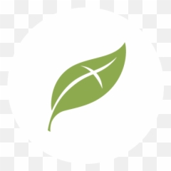 New Life Icon White - Circle Full Size PNG Download SeekPNG Png