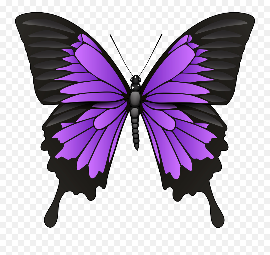 Png Clip Art Purple Butterfly