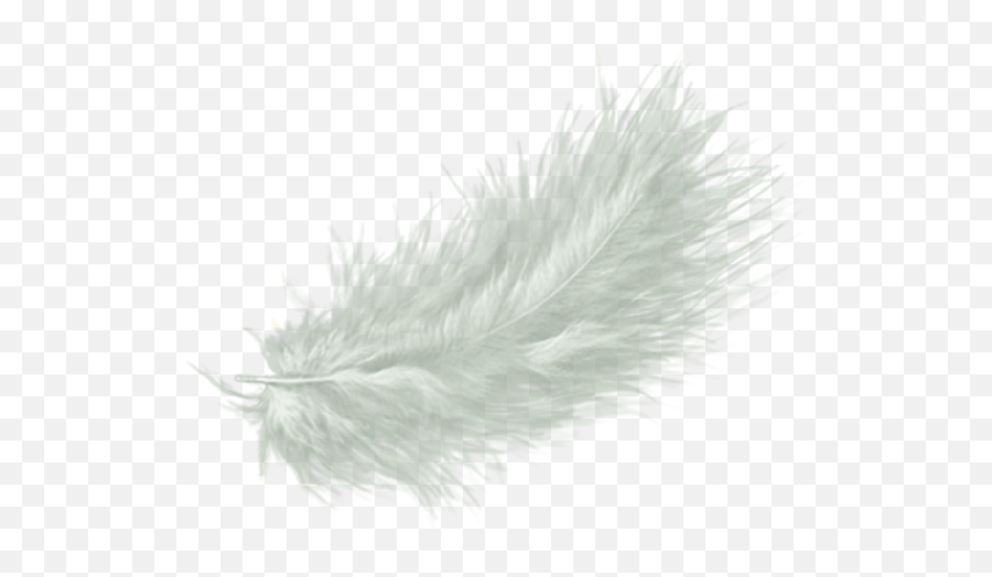 White Feather Drawing Clip Art - White Fur Transparent Background Png,Feather Transparent Background