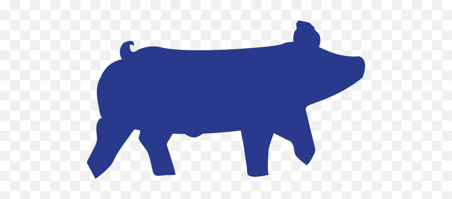 Download Hampshire Show Pig Silhouette Livestock Show Pig Clip Art Png Pig Silhouette Png Free Transparent Png Images Pngaaa Com